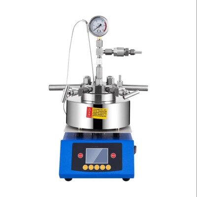 Mini Magnetic Stirring High Pressure Hydrothermal Synthesis Autoclave Reactor S#-image