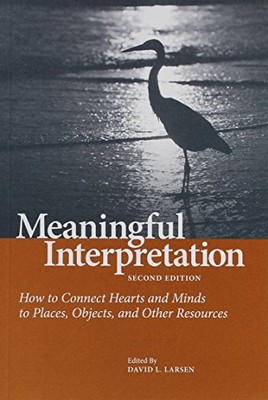 Meaningful Interpretation-image