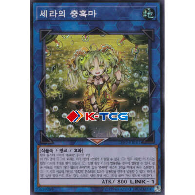 Yugioh Card 