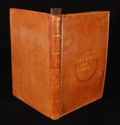 1894 HARPER'S Monthly Magazine TRILBY Du Maurier-image