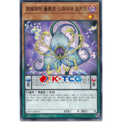 Yugioh Card 