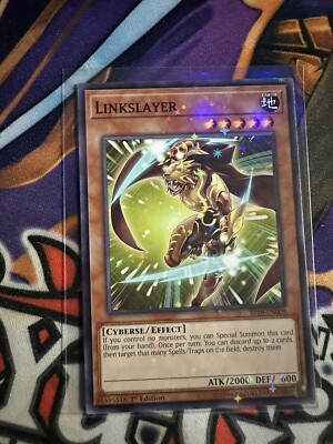 YuGiOh Linkslayer SP18-EN009 1st Edition Common-image