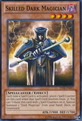 Skilled Dark Magician - YSYR-EN013 - Common - Unlimited Edition - Heavily Played-image