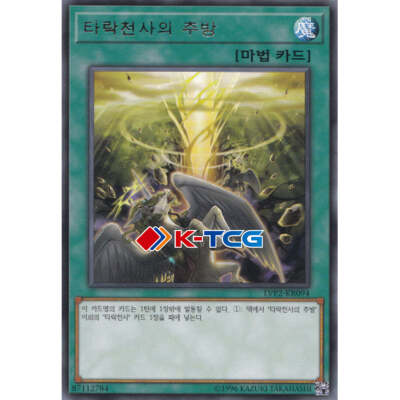 Yugioh Card 