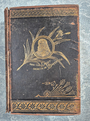 The Light of the Nations:  Charles F. Deems. Gay Brothers, Pub. 1884-image