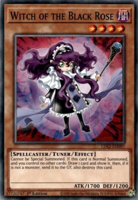 Yugioh! Witch of the Black Rose - LDS2-EN097 - Common - 1st Edition Near Mint, E-image