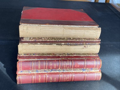 Antique St. Nicholas Magazine Books For Young Folks Vol 1885 1886 1893-1894 1895-image