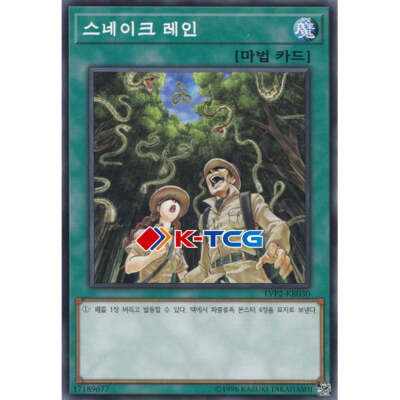 Yugioh Card 