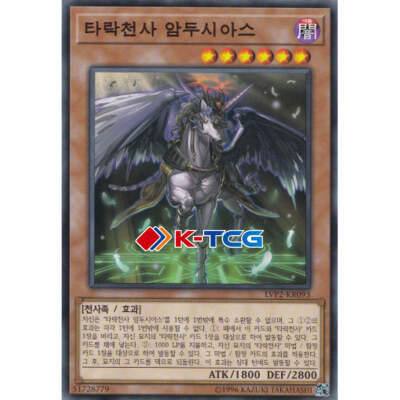 Yugioh Card 
