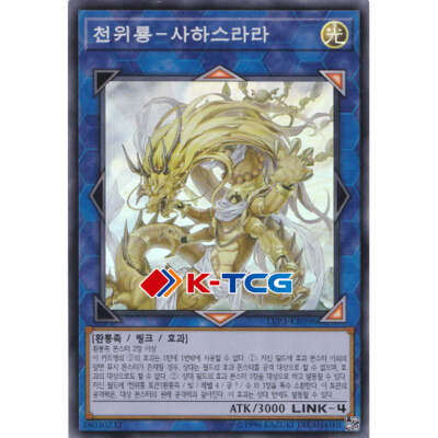 Yugioh Card 