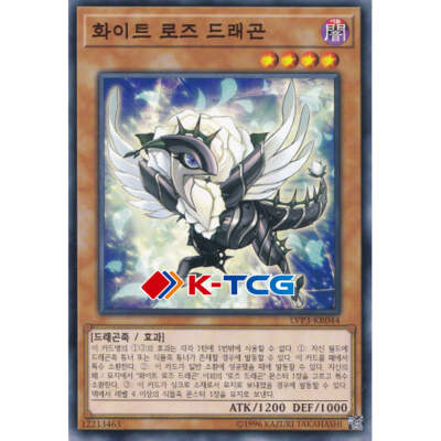 Yugioh Card 