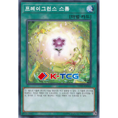 Yugioh Card 