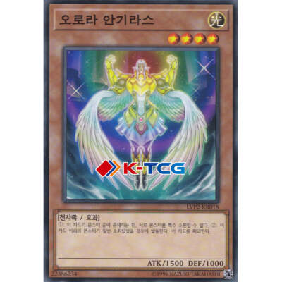 Yugioh Card 