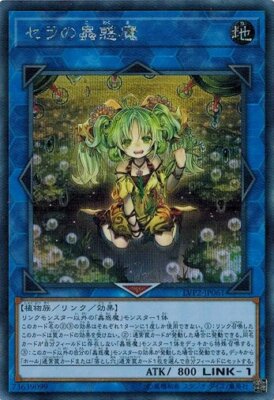 Traptrix Sera LVP2-JP061 Secret Rare Yugioh Japanese NM-image