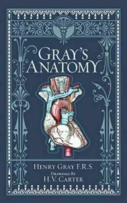 GRAY'S ANATOMY by Henry Gray Illustrated Collectible ~Leather Bound New ~SEALED~-image