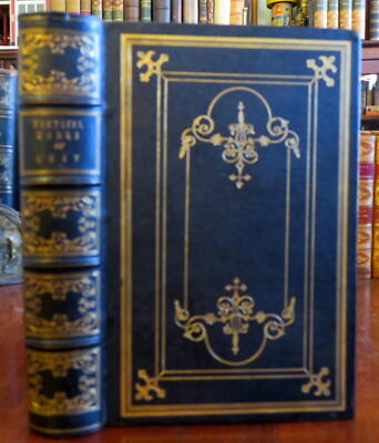 Thomas Gray Collected Poems 1850 Radclyffe illustrated ornate gift leather book-image