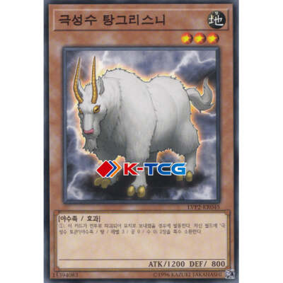Yugioh Card 