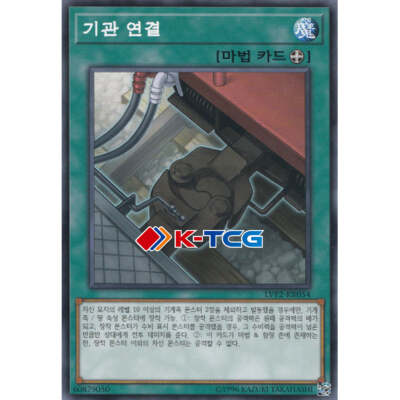 Yugioh Card 