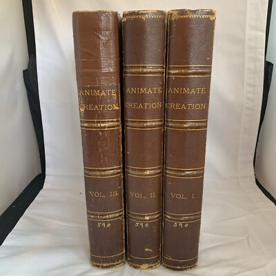 1885 Animate Creation Our Living World 3 Volume Set By Rev. J. G. Wood-image