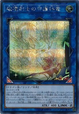 Protector Whelp of the Destruction Swordsman LVP3-JP006 Secret Rare-image