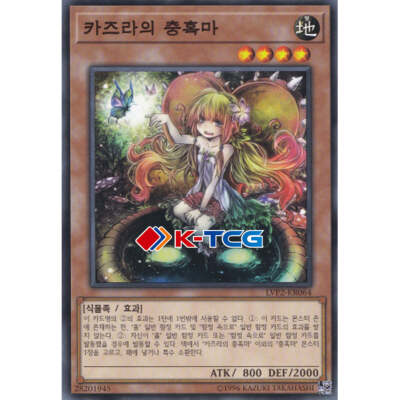 Yugioh Card 