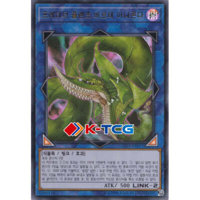 Yugioh Card 
