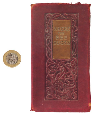 Where the Bee Sucks Edwardian book about flowers by Amy P Woolley leather bound-image