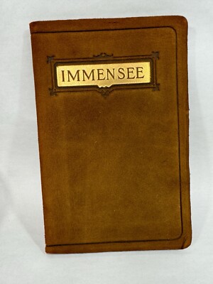 1902 Immensee by Theodor Storm Antique Reverse Leather Book Great Condition-image