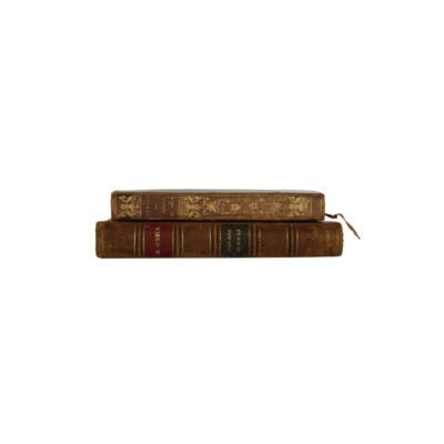 1800s French Brown Leather Bound Books (Set of 2)-image