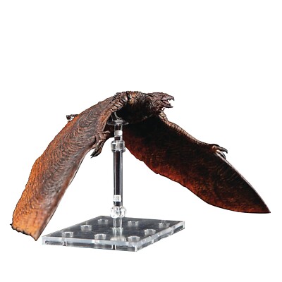Hiya Toys Godzilla: King of Monsters – Rodan Exquisite Basic Action Figure-image