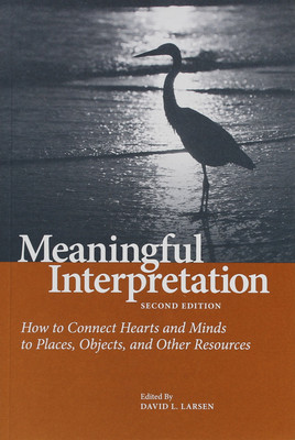 Meaningful Interpretation-image