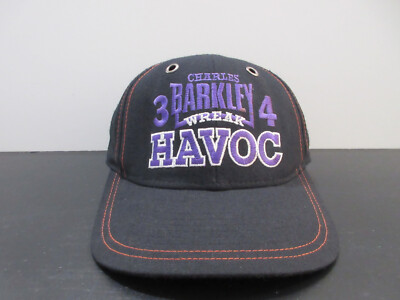 VINTAGE Nike Hat Cap Fitted Adult Medium Charles Barkley Godzilla Mens 90s-image