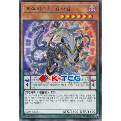 Yugioh Card 