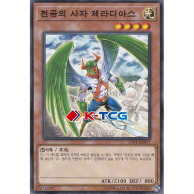Yugioh Card 