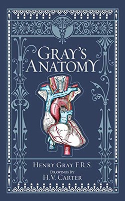 Gray's Anatomy (Barnes & Noble Collecti..., Gray, Henry-image